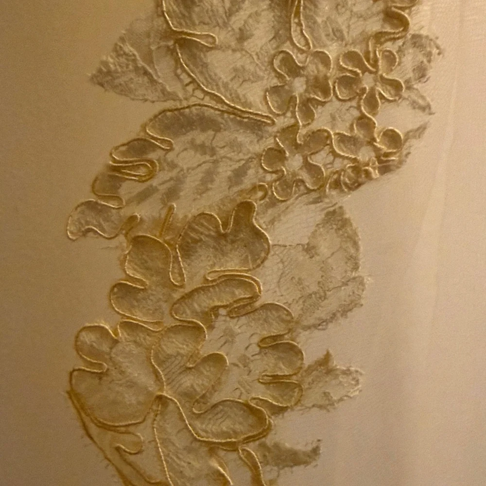 Vintage Ivory Lace-Trim Bridal Veil with Floral Appliqués, Fingertip Length - Picture 3 of 9